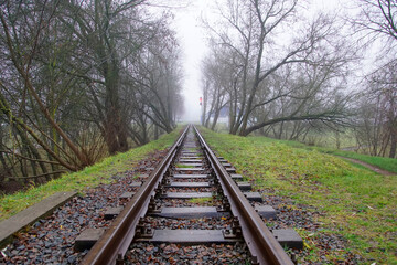 Fototapeta premium Foggy winter. Silhouettes of trees and fallen leaves underfoot. A railroad track stretching into the distance on wooden sleepers.