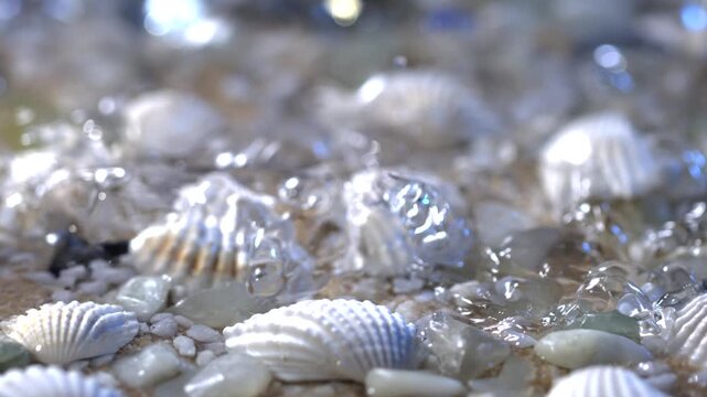 White shells and stones on sandy beach during sunny day by ocean waves