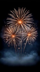 Golden Sky Burst: Vibrant Fireworks Celebration Display