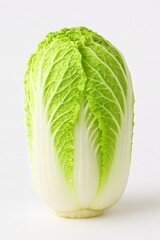 Napa Cabbage