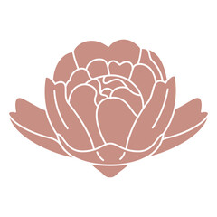 Botanical cut out gardenia