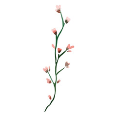 Flowers watercolor delicate drawing