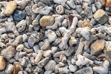 closeup of a dead coral beach