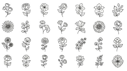 Elegant Collection of Botanical Illustrations: A Variety of Floral Line Art