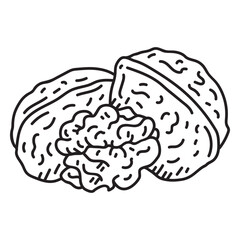 Detailed walnuts shell