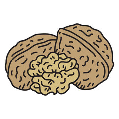 Detailed walnuts icon