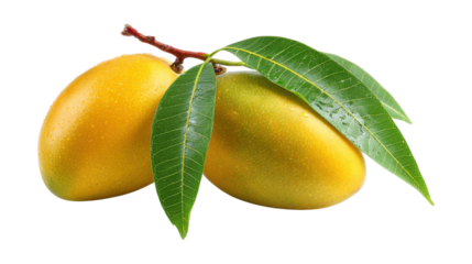 Ripe cut mango with green leaf isolated on a white background