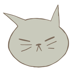 Gray doodle angry cat