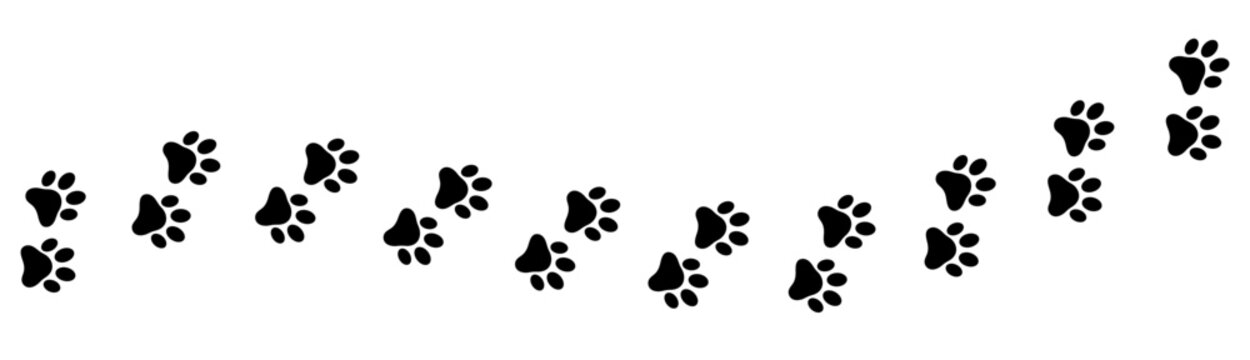 Paw print foot trail