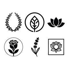 Botanical & Floral Icon Set: Nature, Fern, Bamboo, Flowers, and Stylized Leaf Ornaments