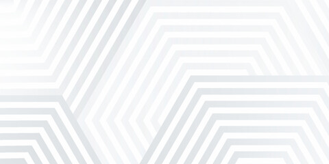 White silver soft geometric universal background for business presentation. Abstract elegant pattern. Frame borders. Minimalist empty lined blank BG.eps 10