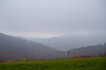 Foggy Forest, Distant Mountains