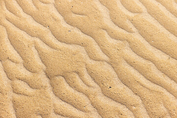 Sandy beach sand background with wave pattern, textures