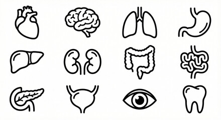 black white organ icons, monochrome anatomy icons, medical vector set, human organs outline, brain heart liver lungs kidney, minimal line icons, healthcare ui, anatomy pack, hospital vector design