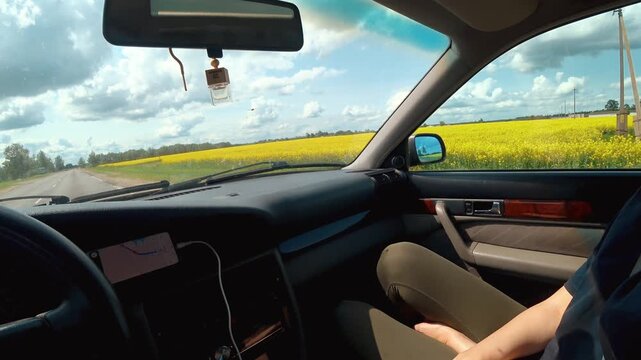 Young woman sitting in the passenger seat of a car, enjoying the scenic view of a bright yellow rapeseed field during a sunny day road trip, with a smartphone navigator on the dashboard