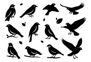 Collection of bird silhouettes in flying and perching poses with decorative leaves