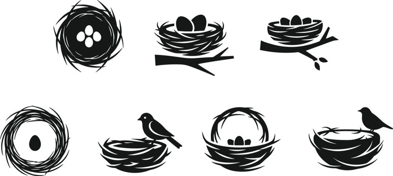 Collection of black and white bird nests with eggs and birds