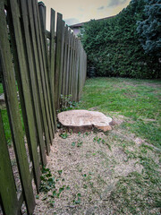 View of a crooked fence curving around a freshly cut tree stump