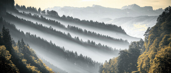 Misty pine forest on layered mountain slopes with sunlight beams and distant peaks