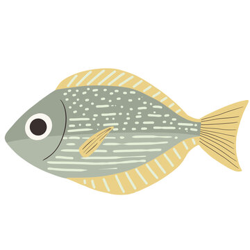 Baronang
