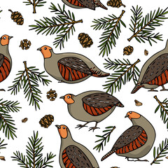 Vector seamless pattern with hand drawn flock of Grey Partridges among conifer twigs and cones. Beautiful illustration, ink drawing. Perfect for prints and patterns
