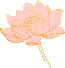 Lotus Flower
