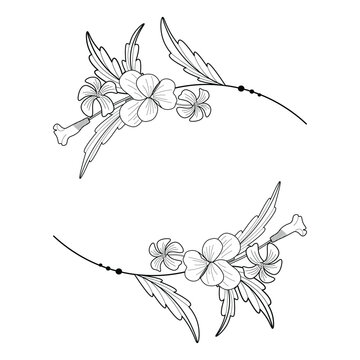 Black and white vector floral wreath with violets and oxalis leaves on a white background