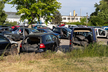 Rows of dismantled cars stand on open yard, showing missing parts, broken fronts  exposed...