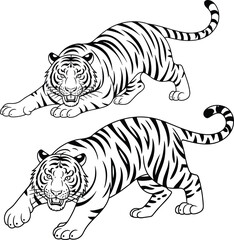 Hand drawn tiger line art illustration set, aggressive striped wild animal outline for coloring book, tattoo design, wildlife vector clipart