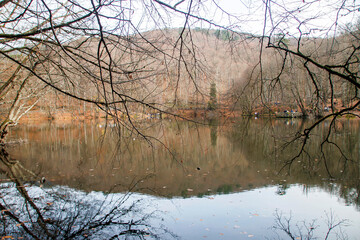 Obraz premium reflection of trees in the lake water, in autumn, yedigoller bolu