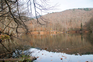 lake in autumn, yedigoller bolu
