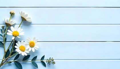 Bouquet of daisies and Green branch frame on a wooden blue background