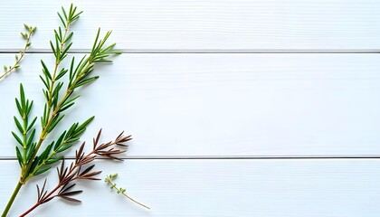 Green rosemary branch frame with neutral wooden background 