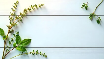 Green branch frame with neutral wooden background 