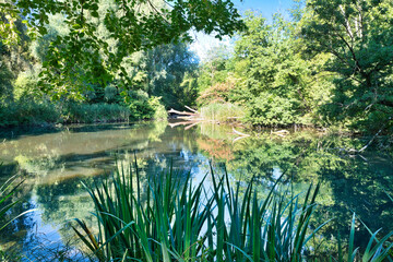 ein kleiner Teich auf dem weg zum Waldfriedhof Landsberg Lech © Blende8