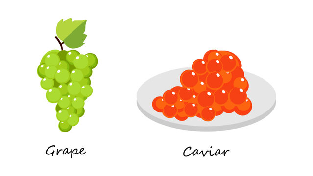 Caviar and Grape Vector Illustration on White Background. Minimalist Caviar and Grape Vector for culinary branding, gourmet packaging, restaurant menus, invitations, product labels.