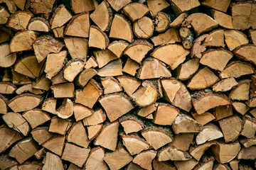Wood Log Texture — Stack of Split Firewood as Natural Background