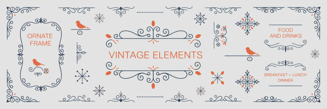 Ornate Vintage Frames and Scroll Elements with Classic Calligraphy and Floral Motifs
