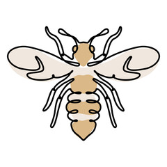 Bee continuous line color