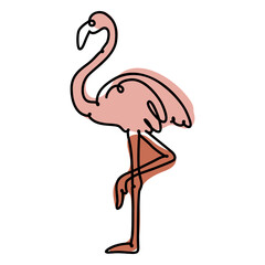 Flamingo continuous line color