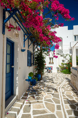 Typical narrow and shady alleyway with bougainvillea in the traditional rustic whitewashed greek...