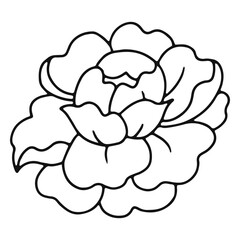 Rose stroke tattoo detailed