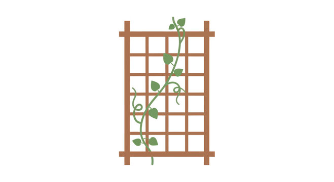 Simple trellis with vine