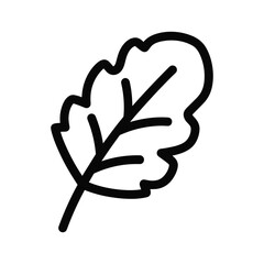 Oak leaf outline vector icon on white background for organic natural autumn fall