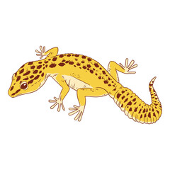A curious leopard gecko
