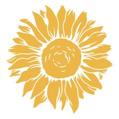 Awe-inspiring sunflower view