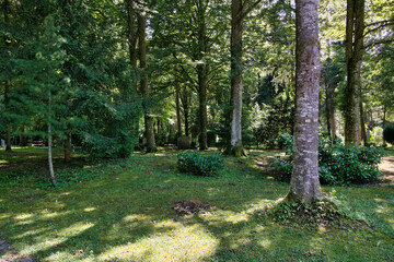 Bestattungen unter Bäumen auf dem Friedhof in Kaufbeuren © Blende8