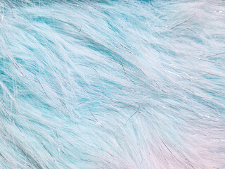 Background of texture: synthetic fur fabric, light blue gradient with shiny silver threads. Surface of rasfur fabric light blue gradient with silver metallic fibers for decoration and craft materials.