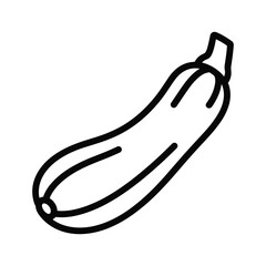 Zucchini vegetable healthy food ingredient cooking organic plant raw nutrition diet