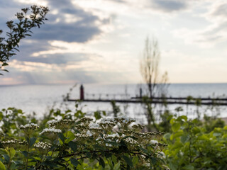 over lookin lighthouse 